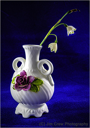 Flower Study